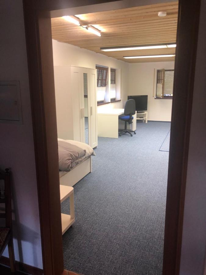 1-Zimmer Apartment, 45 Qm, Im Weinort Neustadt-Duttweiler Neustadt an der Weinstraße Exteriér fotografie