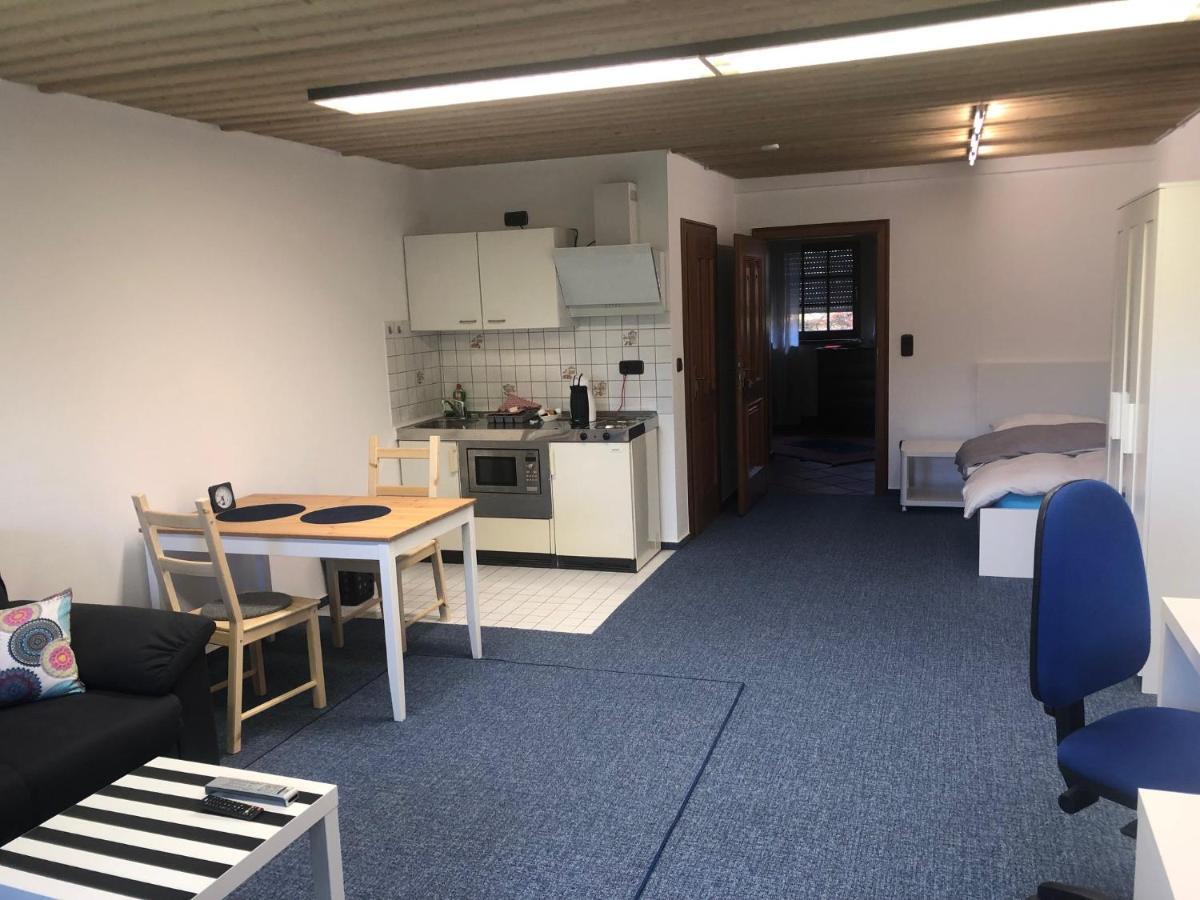 1-Zimmer Apartment, 45 Qm, Im Weinort Neustadt-Duttweiler Neustadt an der Weinstraße Exteriér fotografie
