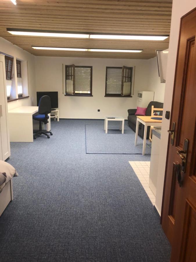 1-Zimmer Apartment, 45 Qm, Im Weinort Neustadt-Duttweiler Neustadt an der Weinstraße Exteriér fotografie