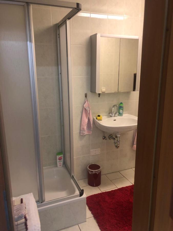 1-Zimmer Apartment, 45 Qm, Im Weinort Neustadt-Duttweiler Neustadt an der Weinstraße Exteriér fotografie